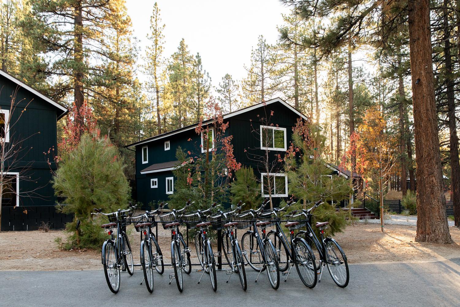 Np Boutique Lodge Big Bear Lake Eksteriør billede